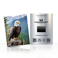 Mountain Sentinel – Bald Eagle Wall Art