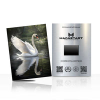 Elegant Reflection – Swan Lake Wall Art