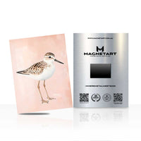 Minimalist Shorebird Metal Wall Art – Soft Coastal Bird Magnetic Aluminium Print | MagnetArt