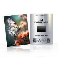 Soft Landing – Butterfly Bloom Wall Art