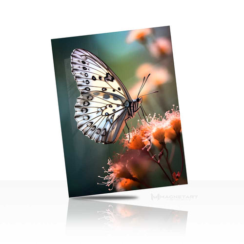 Soft Landing – Butterfly Bloom Wall Art