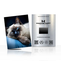 Blue Serenity – Siamese Cat Portrait Wall Art