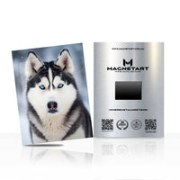 Arctic Focus – Husky Portrait Wall Art