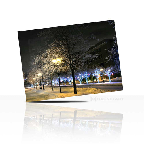 Golden Night Park Metal Wall Art – Illuminated Tree Landscape Aluminium Print | MagnetArt