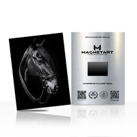 Monochrome Horse Portrait Metal Wall Art – Elegant Black Horse Magnetic Aluminium Print | MagnetArt