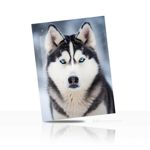 Arctic Focus – Husky Portrait Wall Art