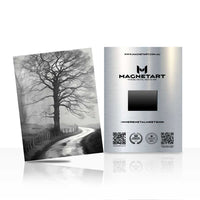 Whispering Winter Path Metal Wall Art – Monochrome Woodland Landscape Magnetic Aluminium Print | MagnetArt