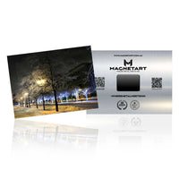 Golden Night Park Metal Wall Art – Illuminated Tree Landscape Aluminium Print | MagnetArt