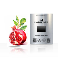Pomegranate Botanical Metal Wall Art – Modern Fruit Illustration Magnetic Aluminium Print | MagnetArt