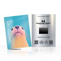 Cute Seal Wall Art – Whimsical Minimal Animal Aluminium Print | MagnetArt