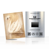 Graceful Swan Serenity Metal Wall Art – Elegant Neutral Wildlife Magnetic Aluminium Print | MagnetArt