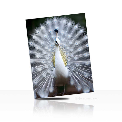 Silver Majesty – White Peacock Wall Art
