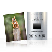 Curious Perch – Squirrel Nature Wall Art