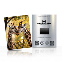 Golden Bond – Giraffe Connection Wall Art