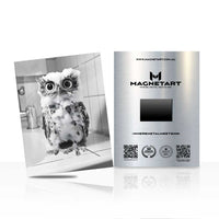 Owl Sketch Metal Wall Art – Monochrome Wildlife Magnetic Aluminium Print | MagnetArt